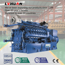 10-1000kw Fabricant Meilleur prix Biogas Engine Generator